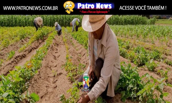 Patrocínio autoriza repasse de verbas para associações rurais e agricultura familiar